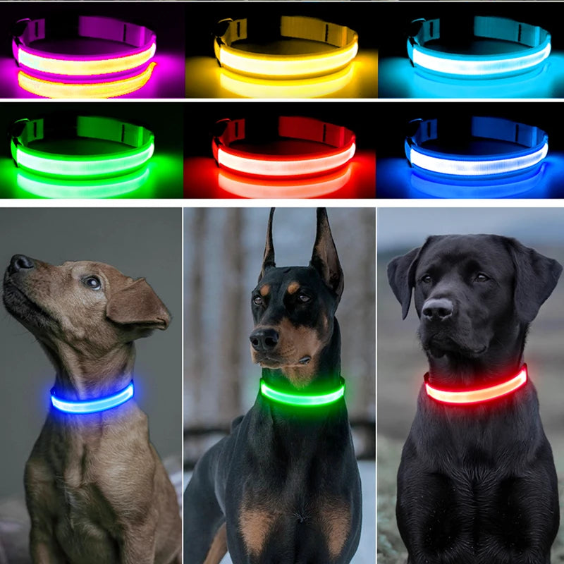 Wiederaufladbares LED-Haustierhalsband über USB