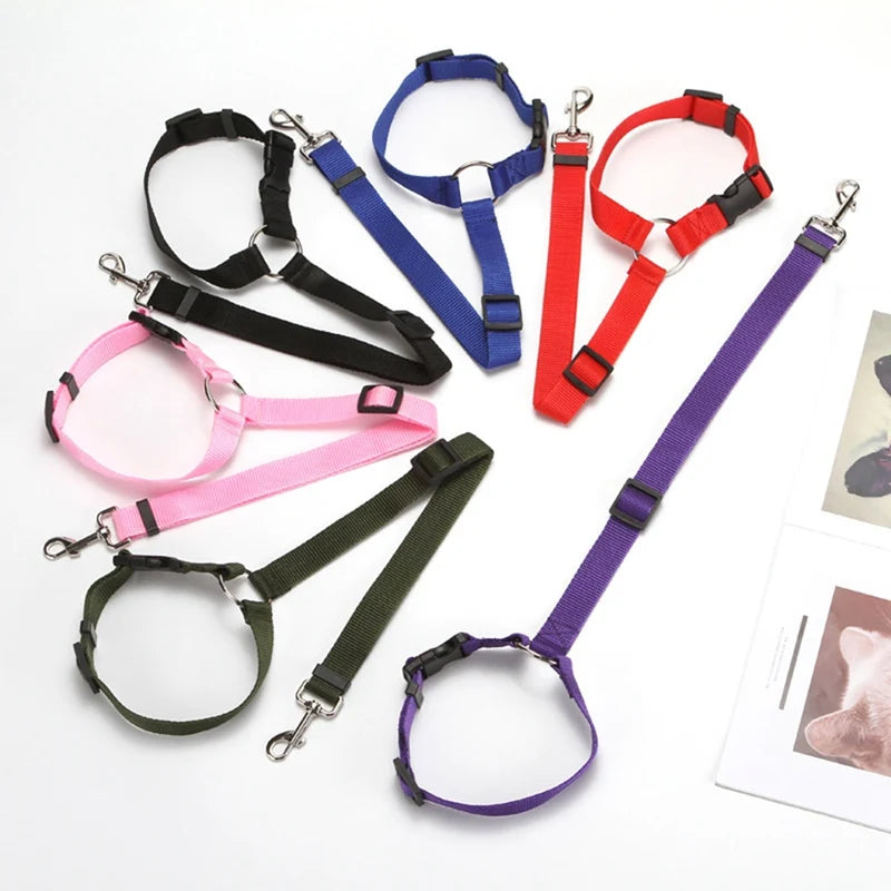 Two-in-One Pet Car Seat Belt