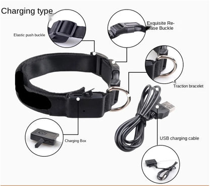 USB Rechargeable LED Pet Collar