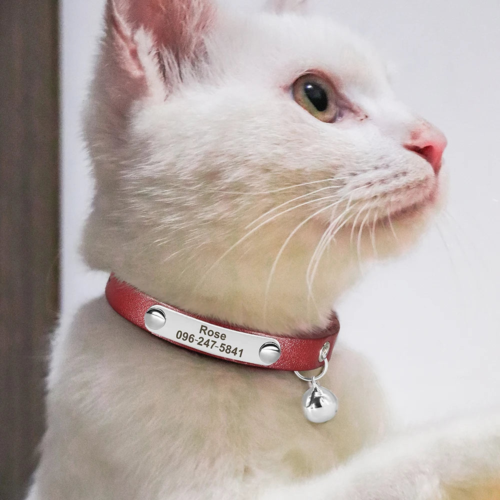 Collier de chat en cuir personnalisé