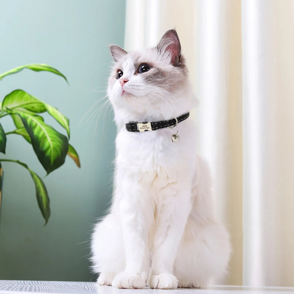 Personalized Reflective Cat & Dog Collar