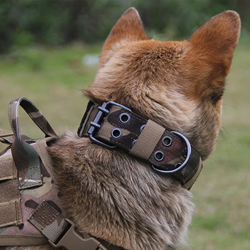 Tactical Dog Collar