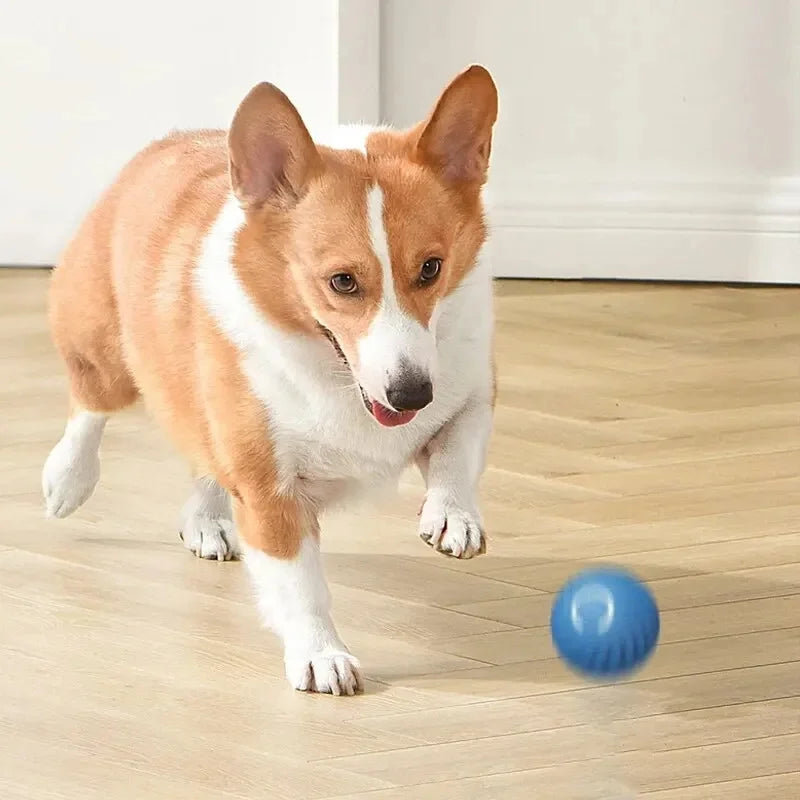 Balle jouet interactive intelligente pour chien