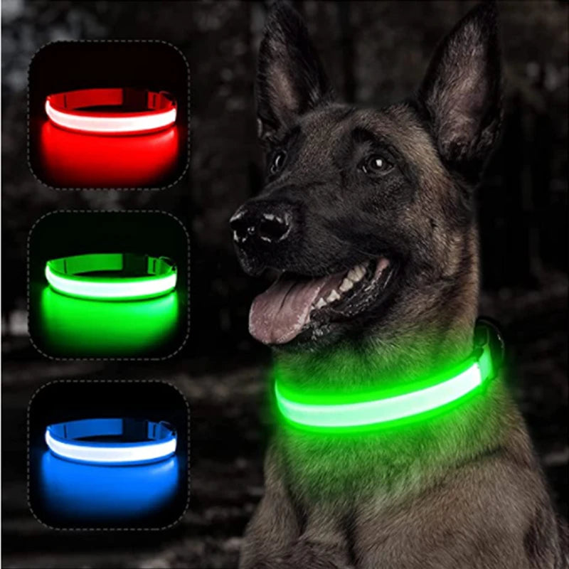 Collier LED rechargeable par USB pour animaux de compagnie