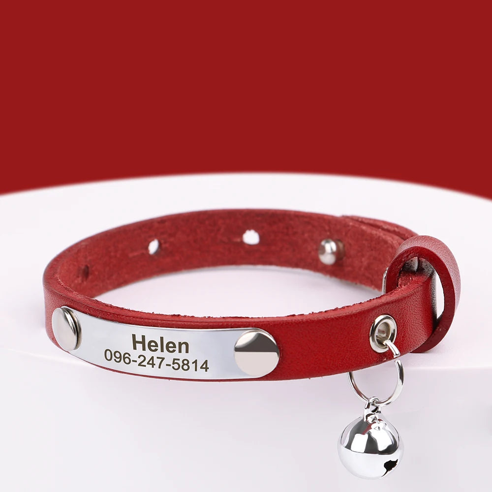 Collier de chat en cuir personnalisé