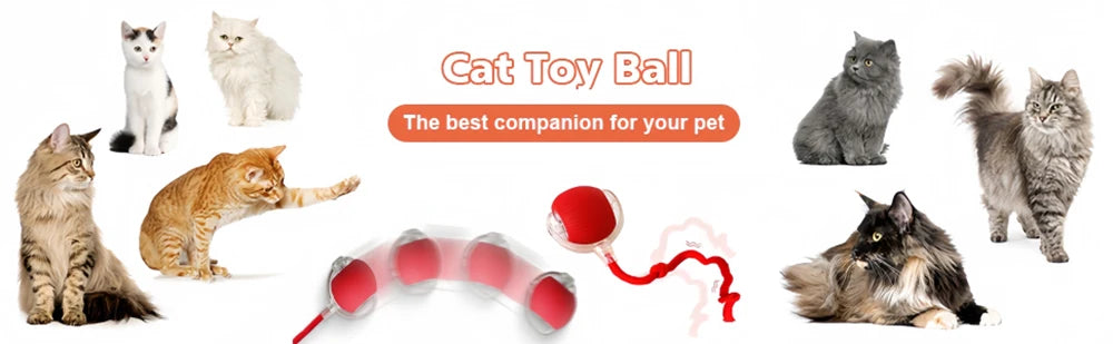 Rechargeable Automatic Electric Pet Toy