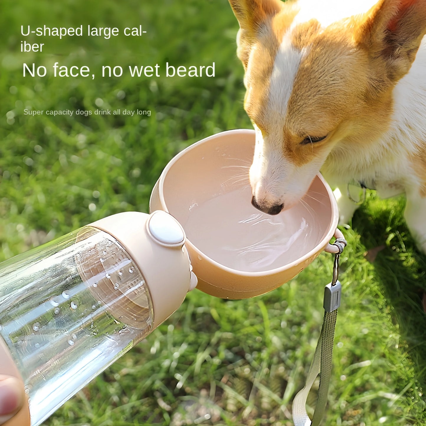 Bol d'eau et distributeur de nourriture portable pour chien 