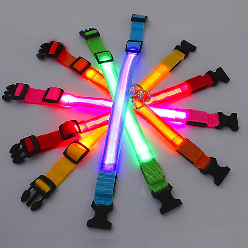 Collier LED rechargeable par USB pour animaux de compagnie