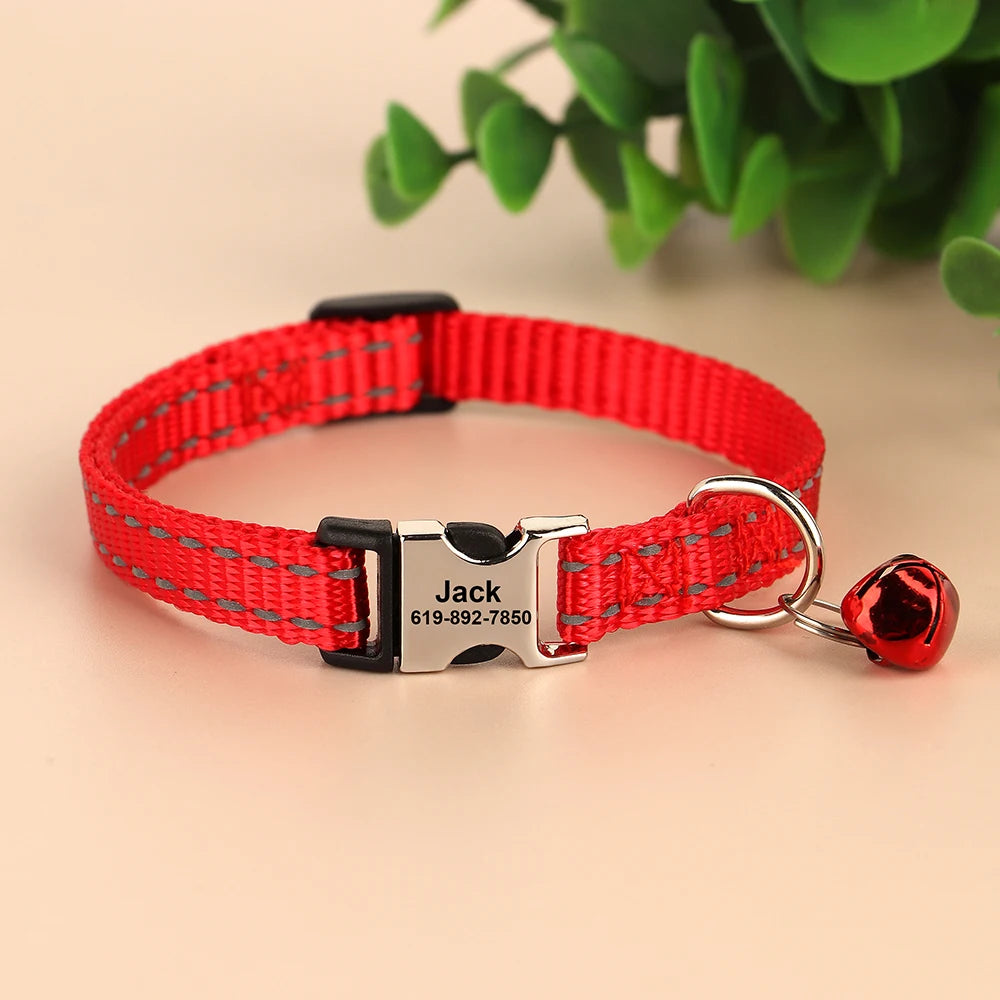 Collier réfléchissant personnalisé pour chat et chien