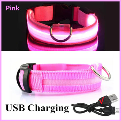 Collier LED rechargeable par USB pour animaux de compagnie