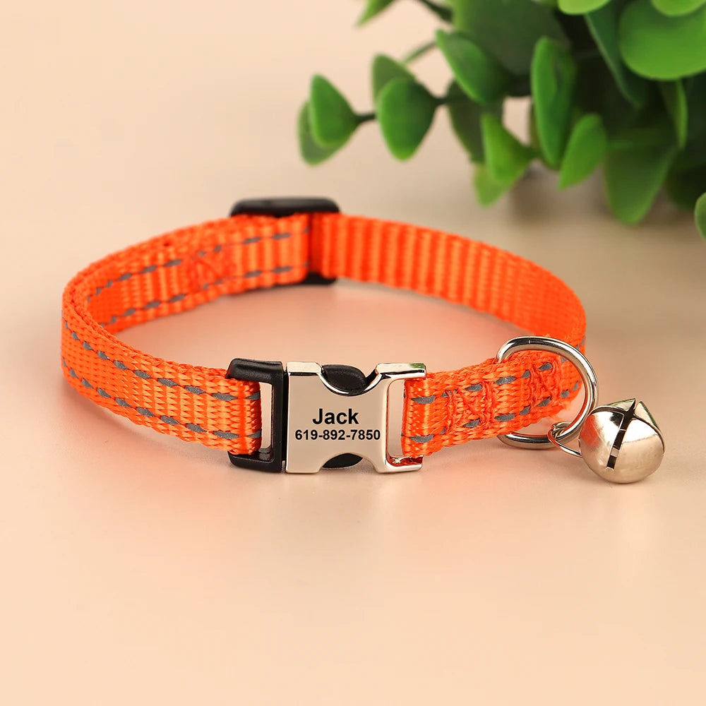 Collier réfléchissant personnalisé pour chat et chien