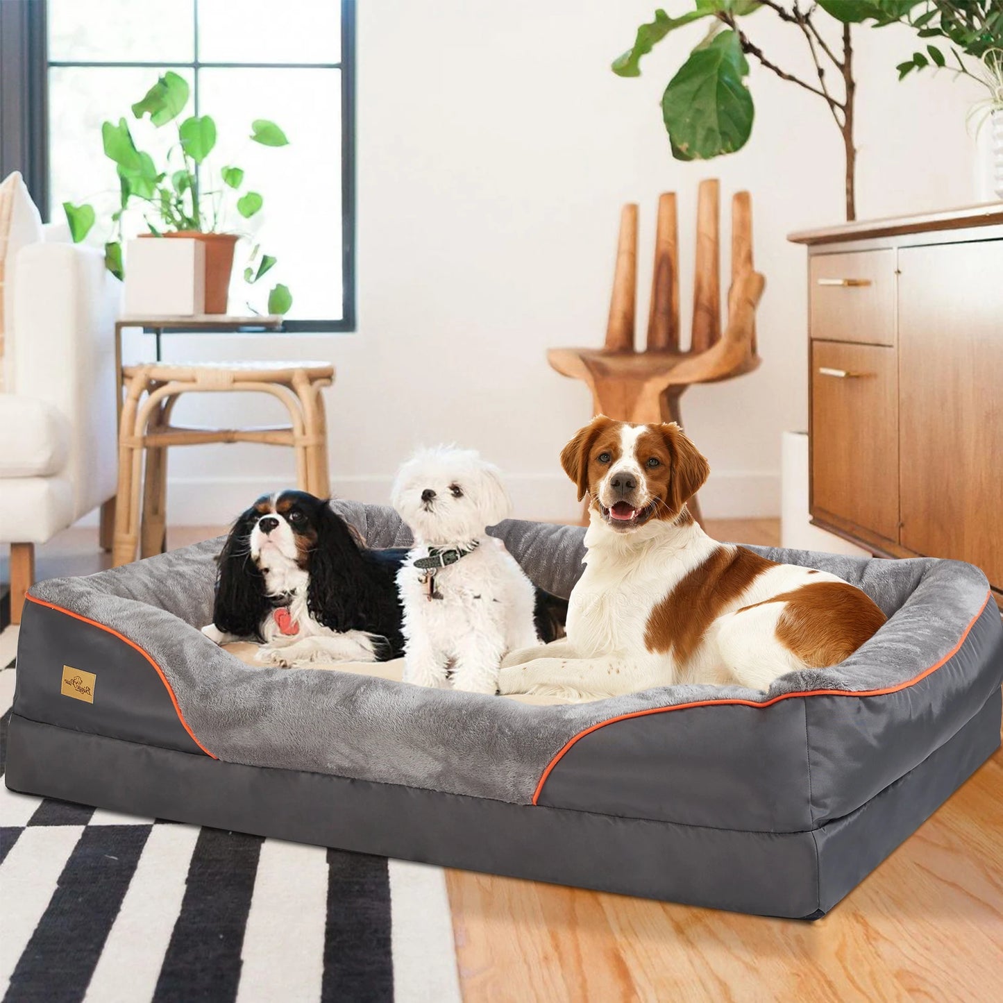 Orthopedic Dog Bed with Super Soft Foam