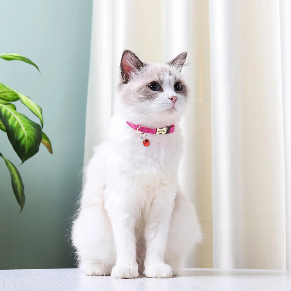 Collier réfléchissant personnalisé pour chat et chien