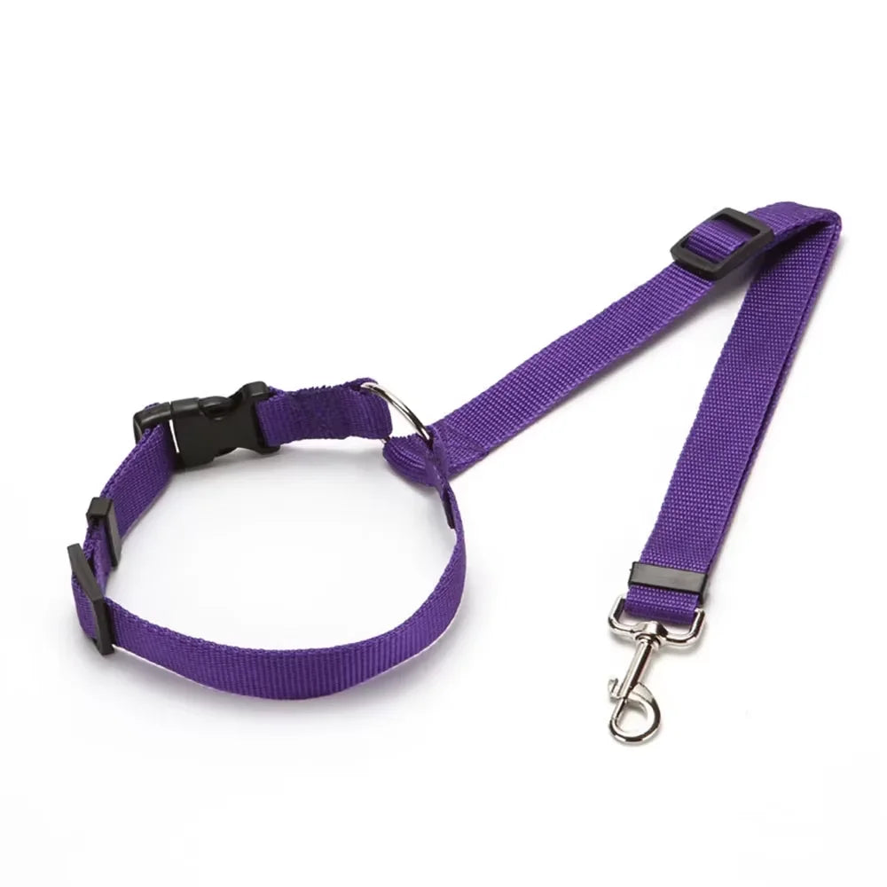 Two-in-One Pet Car Seat Belt