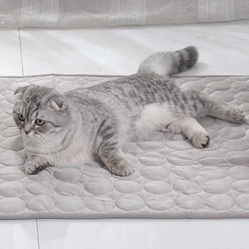 Pet Cooling Mat