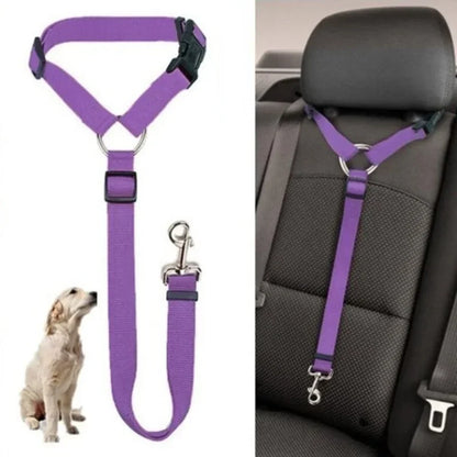 Ceinture de sécurité pour animaux de compagnie deux en un