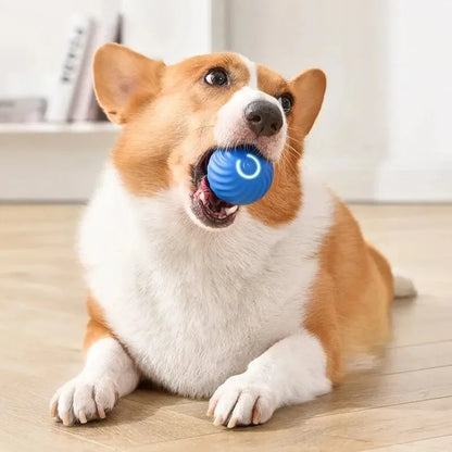 Smart Interactive Dog Toy Ball