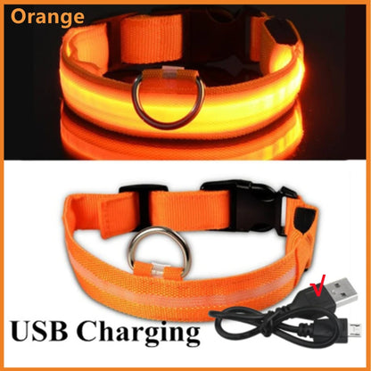 Collier LED rechargeable par USB pour animaux de compagnie