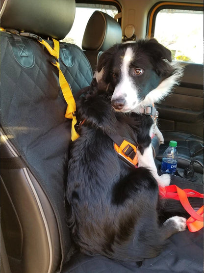 Housse de siège auto pour chien 100 % imperméable