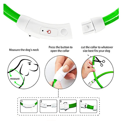 Collier LED rechargeable par USB pour animaux de compagnie