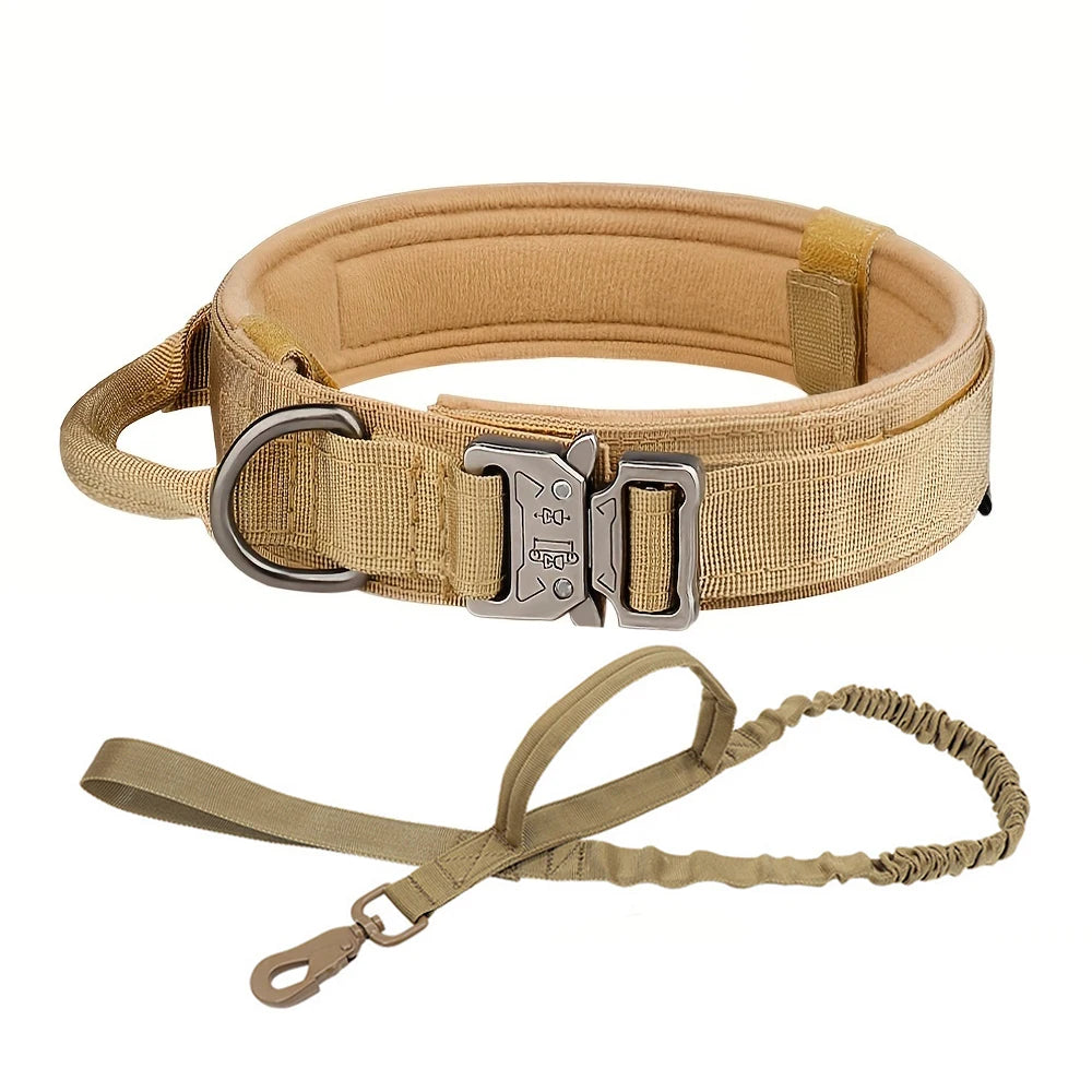 Ensemble collier et laisse de dressage tactique réglable pour chien