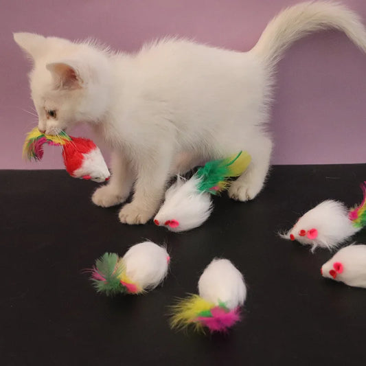 Jouet interactif pour chat – Souris à plumes avec polaire et couleurs amusantes