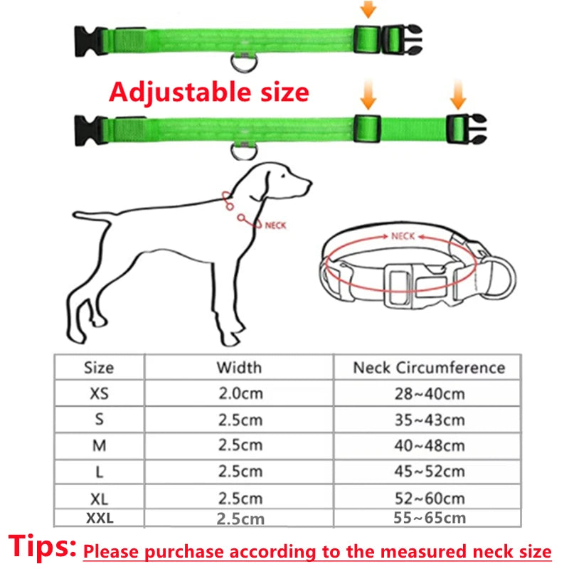 USB Rechargeable LED Pet Collar