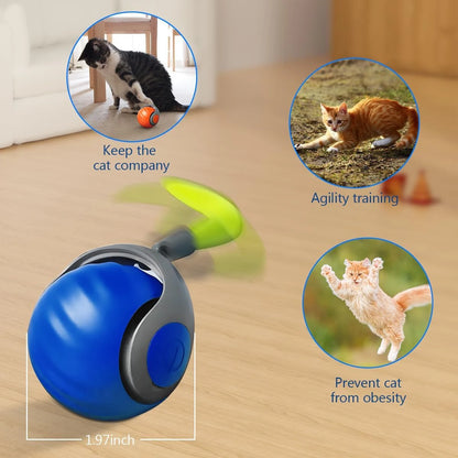 Automatic Moving Balls for Cats & Dogs