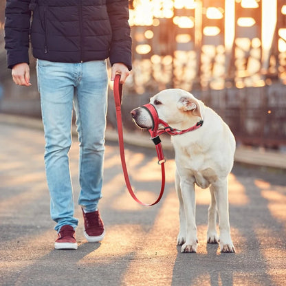 Ensemble de muselières respirantes pour chien