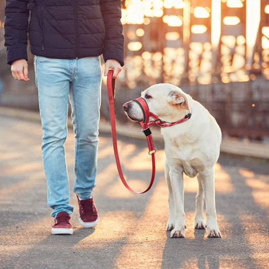 Atmungsaktives Maulkorb-Set für Hunde