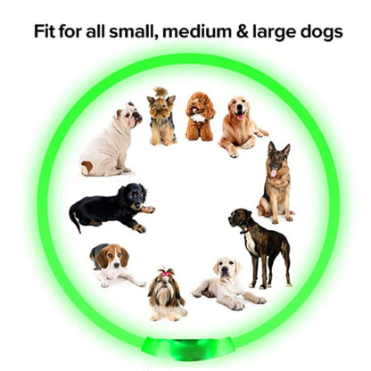 USB Rechargeable LED Pet Collar