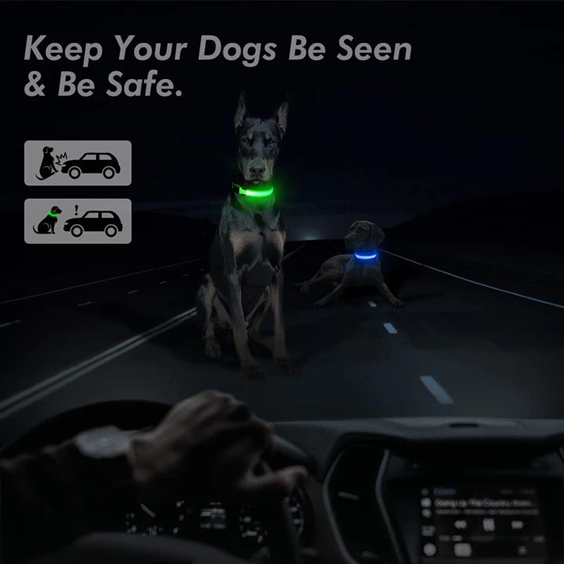 USB Rechargeable LED Pet Collar