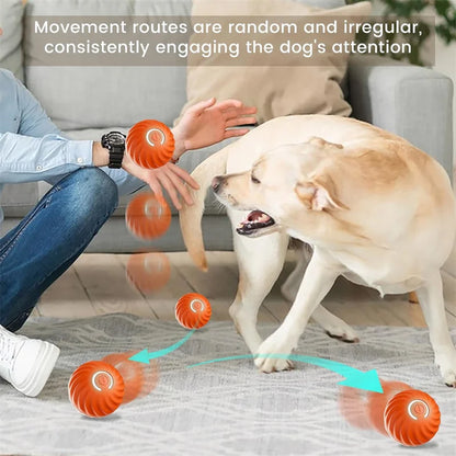 Balle jouet interactive intelligente pour chien